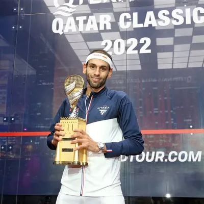 Mohamed Elshorbagy profile