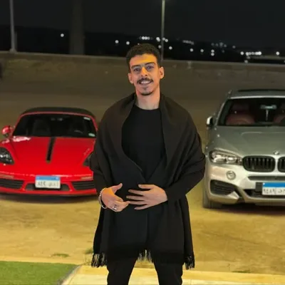 Mohamed Elmedany profile