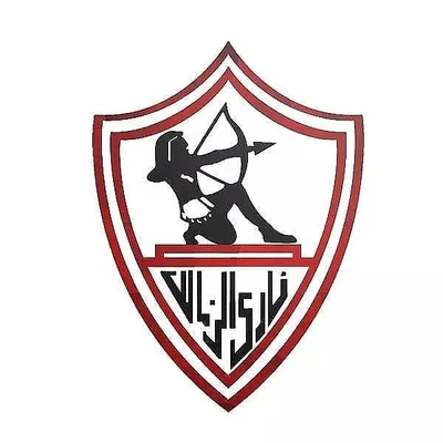 Mohamed Abdel-Shafy profile