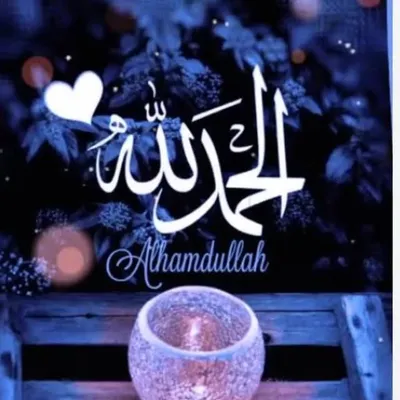 Mohammad Raju profile