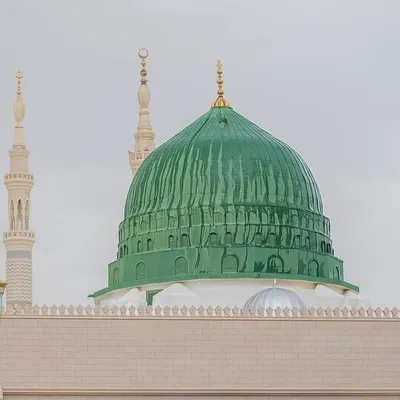 Mohammed Zaker profile