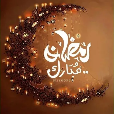 Mohammed Erfan profile
