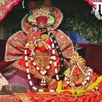 Mohan Jaat profile