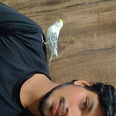 Maaz Ansari profile