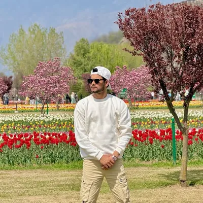 محمد سعد profile