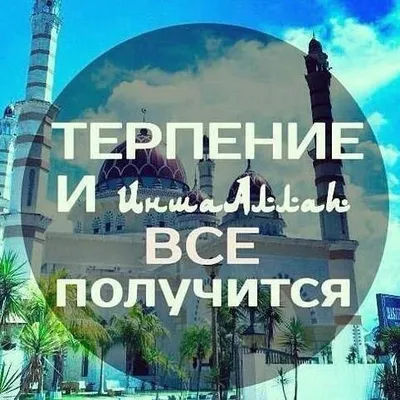 мохика profile