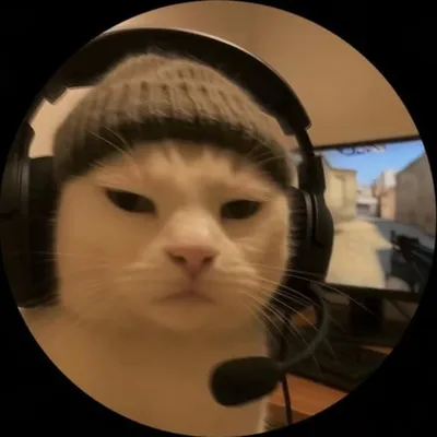 M O H I T K A P O O R profile