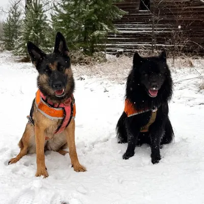 Vili & Moira profile