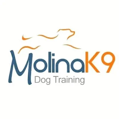 Molinak9 Dog Training profile