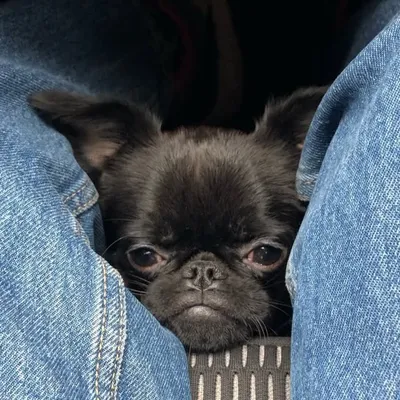 Molly Real Griff 🖤 profile