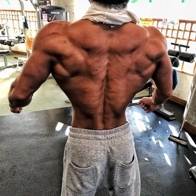 🐒MONKEY.S🐒 profile