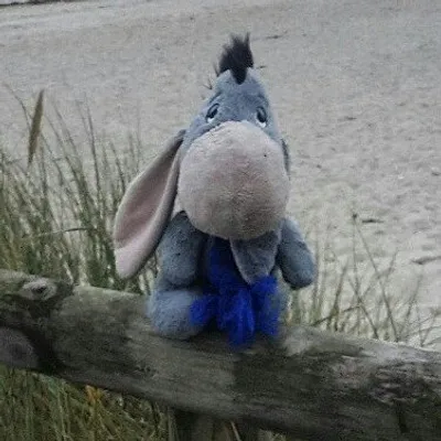 Monsieur Esel profile