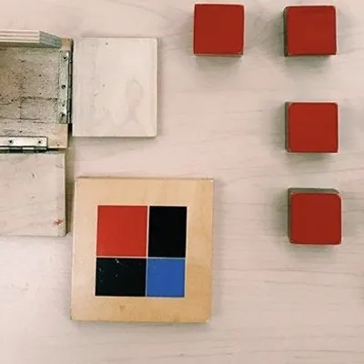 Montessori profile