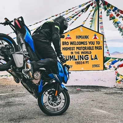MONTY STUNTS profile