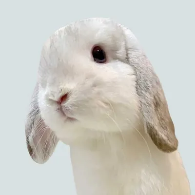 ๐ปโโ๏ธ๐ด๐๐๐๐๐ & ๐ป๐ด๐๐๐๐๐ & ๐จ๐ด๐๐ธ๐๐๐๐ profile