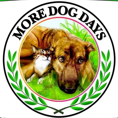 ๐พ ๐ More Dog Days ๐ ๐พ profile