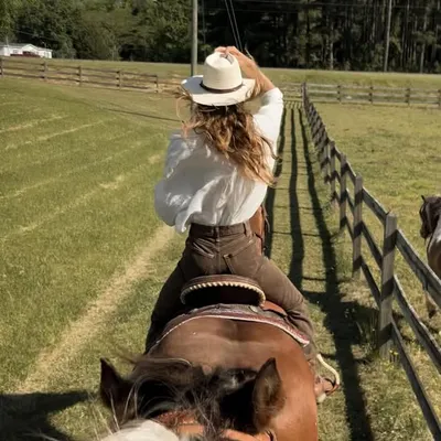 morgan sitton profile