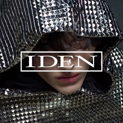 IDEN profile