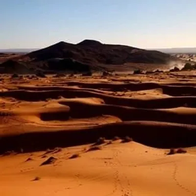 Travel organisation ๐ด๐๐ด in Morocco profile
