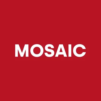 MOSAIC MÉXICO profile