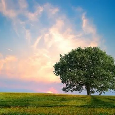 MotherNature profile