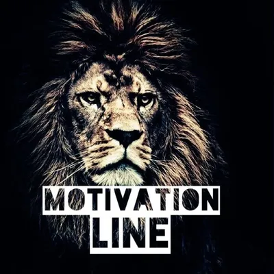 Motivation profile