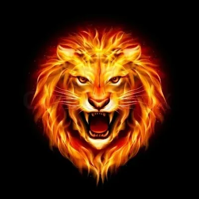 Motivation Rells profile