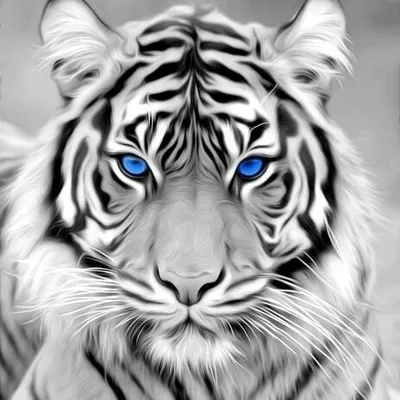 motivational.chapter_ profile