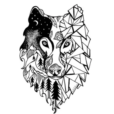↟ MOUNTAIN STORIES ↟ profile