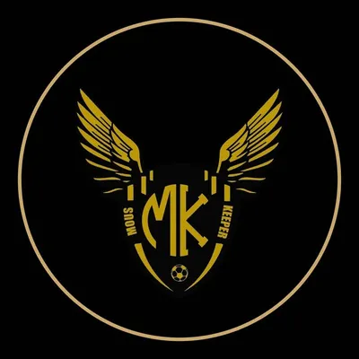 🐝la guêpe/wasp 🇸🇳🇫🇷 profile