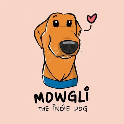 Mowgli The Indie Dog ๐พ profile