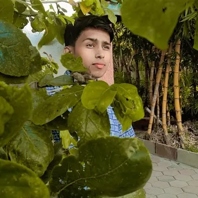 Aalok Parmar profile