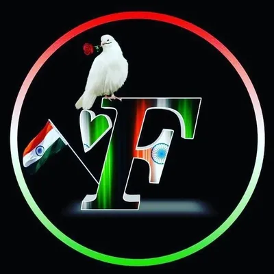 Faizan profile