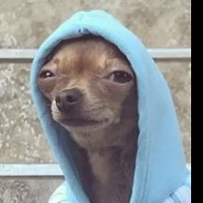 Foodie in a hoodie profile