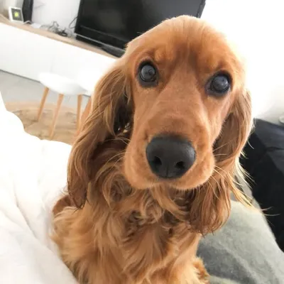 M A R L E Y profile