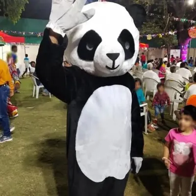 MR. PANDA JALANDHAR profile