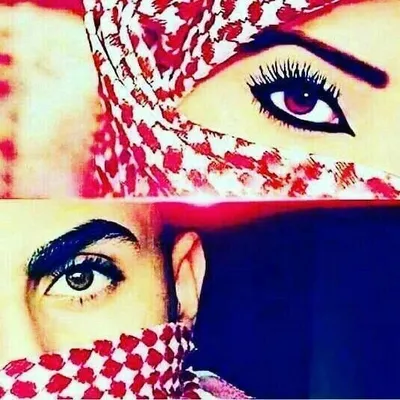 Møhãmmëd Khãlëêl Qūrêshî profile
