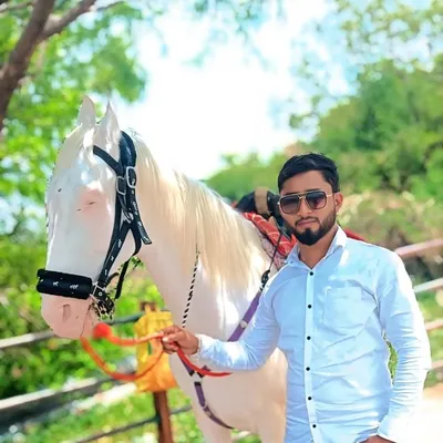 𝐓𝐚𝐧𝐯𝐢𝐫 𝐩𝐚𝐭𝐞𝐥 profile