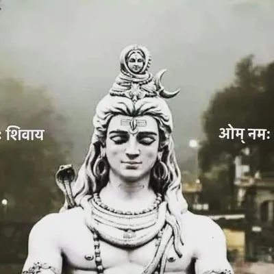 Viraaj Singh profile
