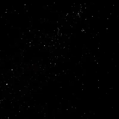 внανєѕн 🌀 profile