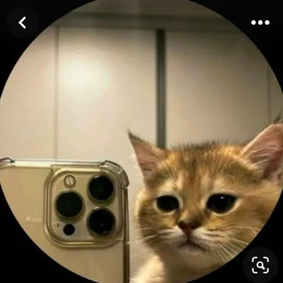 (◕ᴥ◕)❤️❤️ profile