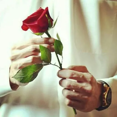 mr_abdul_24 ❤️ profile