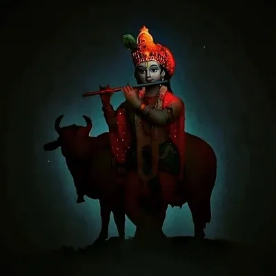 💪कश्यप की हुकूमत💪 profile