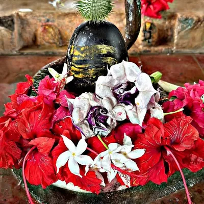 Rajputana page profile