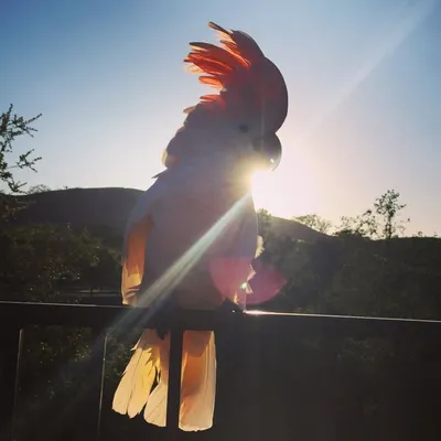 beau and friends profile