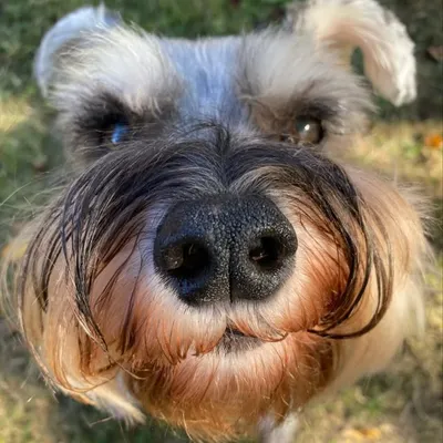Freddie Bear ๐ป profile