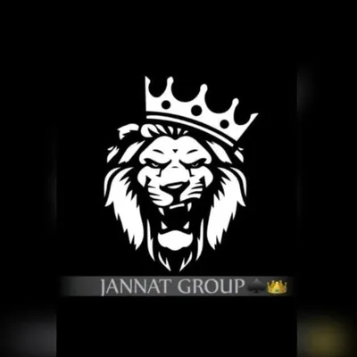 JANNAT GROUP โ ๏ธ๐ profile