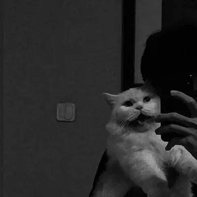 ❤︎ محمد سفیان ❤︎ profile