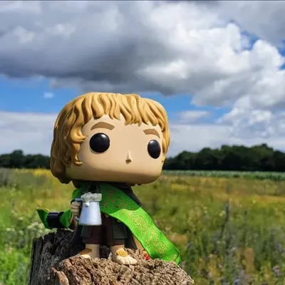 Hobbit from Buckland profile