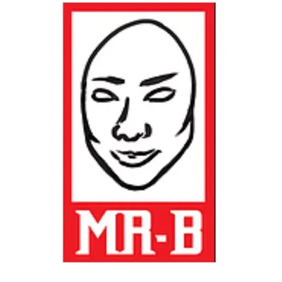 Mr Binghams profile